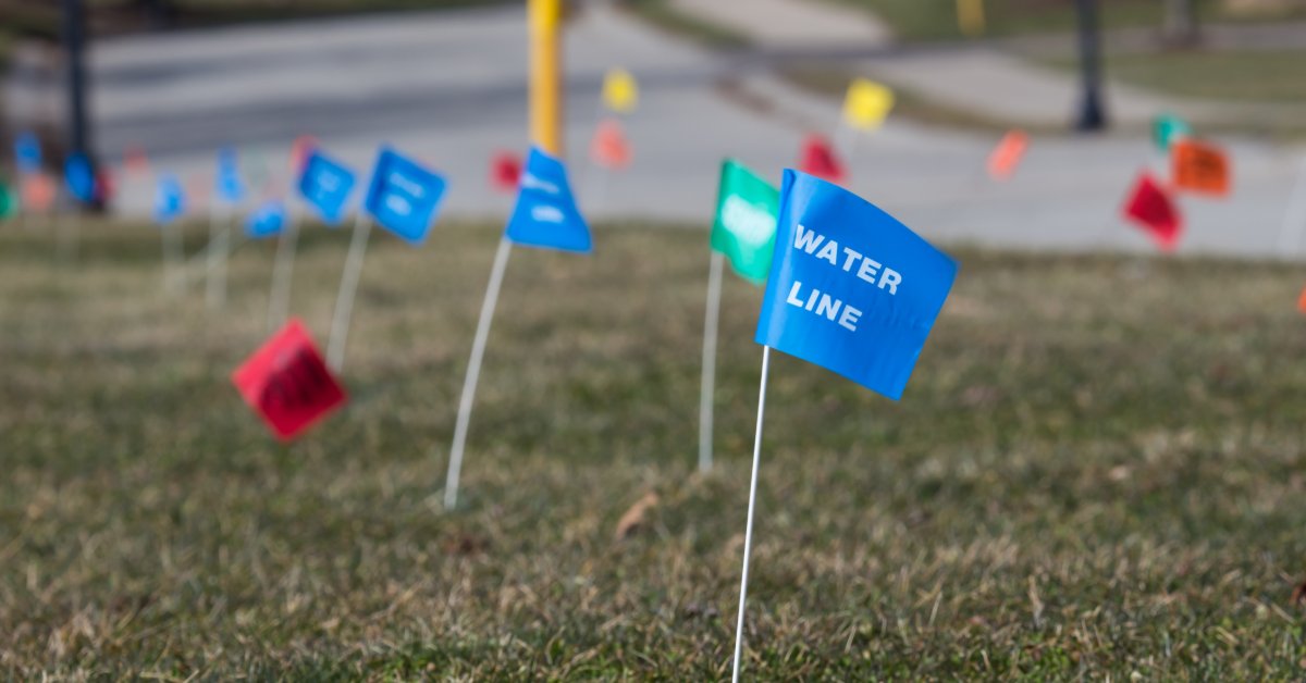 A row of blue and colored utility marker flags standing in grass near a road, with one flag reading water line.